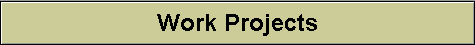 Work Projects
